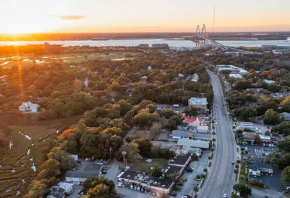 arial image of Mt. pleasant community and swamp with river and bridge in background